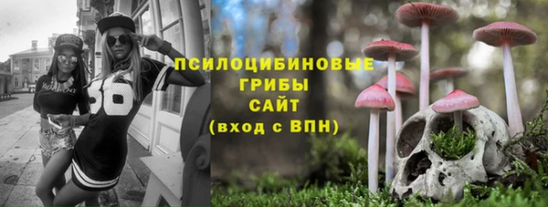 дурь Верея