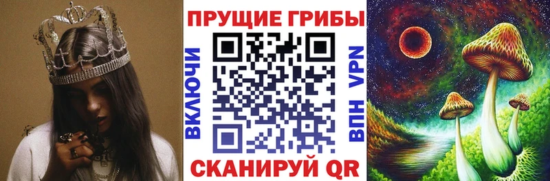 Купить закладки  Мирный  Псилоцибиновые грибы Psilocybe 