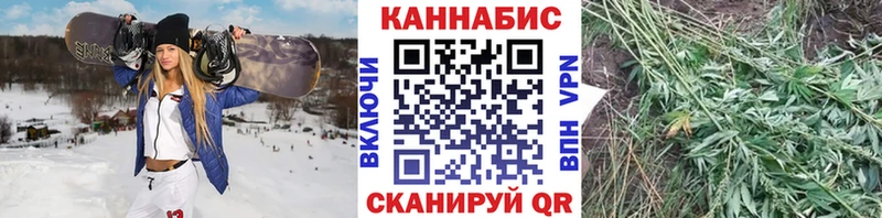 Конопля гибрид Купить где Мирный